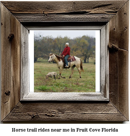 horse trail rides near me in Fruit Cove, Florida